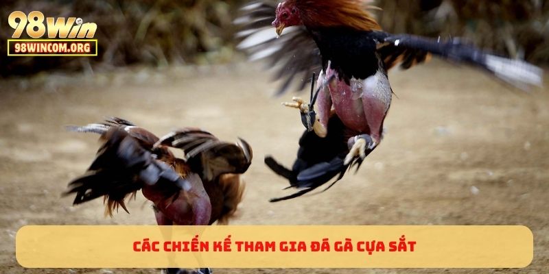 Các chiến kế tham gia đá gà cựa sắt