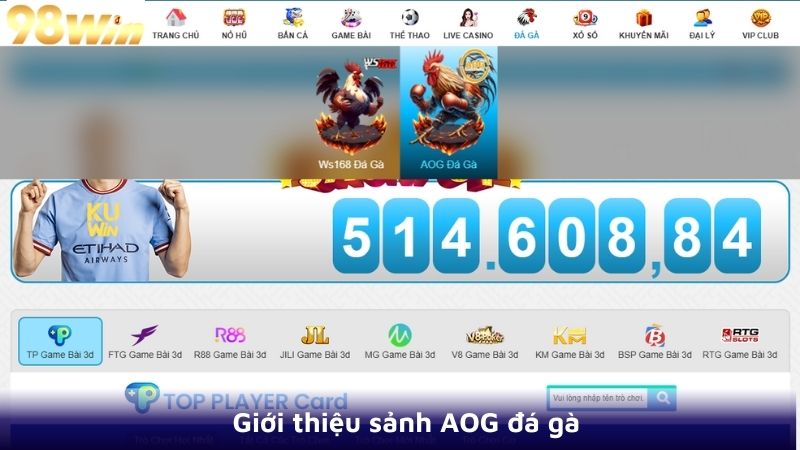 Giới thiệu sảnh AOG đá gà