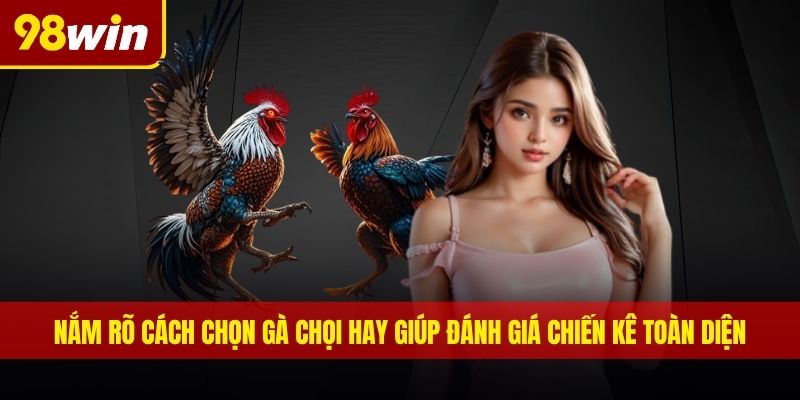 Nắm rõ cách chọn gà chọi hay giúp đánh giá chiến kê toàn diện